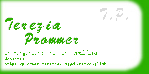 terezia prommer business card